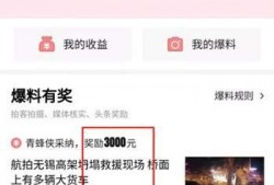 大连头条今日爆料最新,揭秘某神秘项目内幕，真相令人震惊！